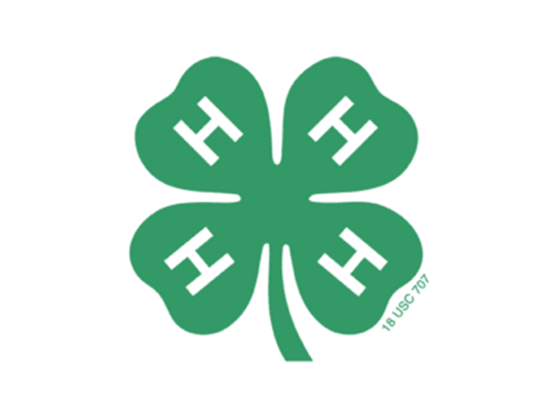 Logo for 2026 Cass County 4-H Fair