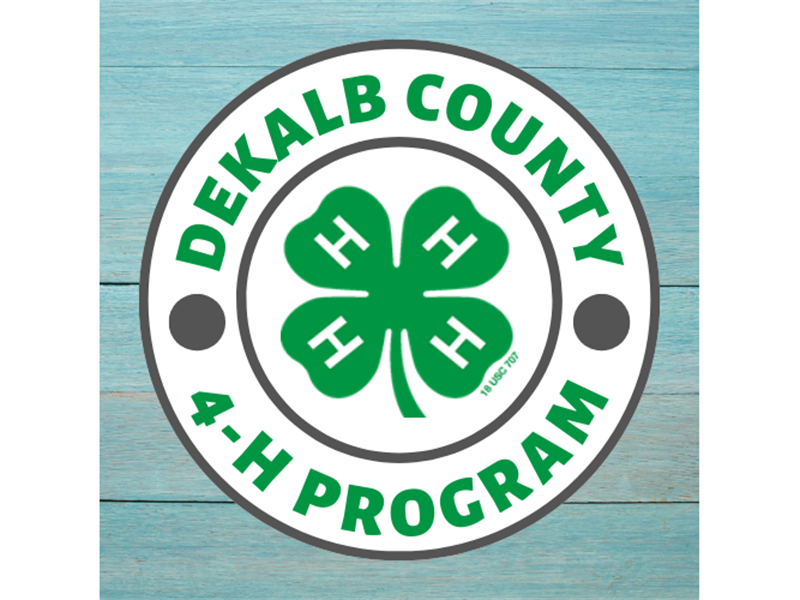 Logo for 2026 DeKalb County Summer Judging